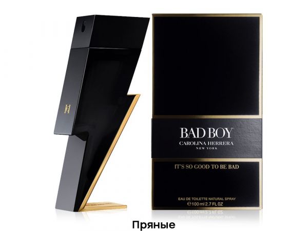 CAROLINA HERRERA BAD BOY, Edt, 100 ml wholesale